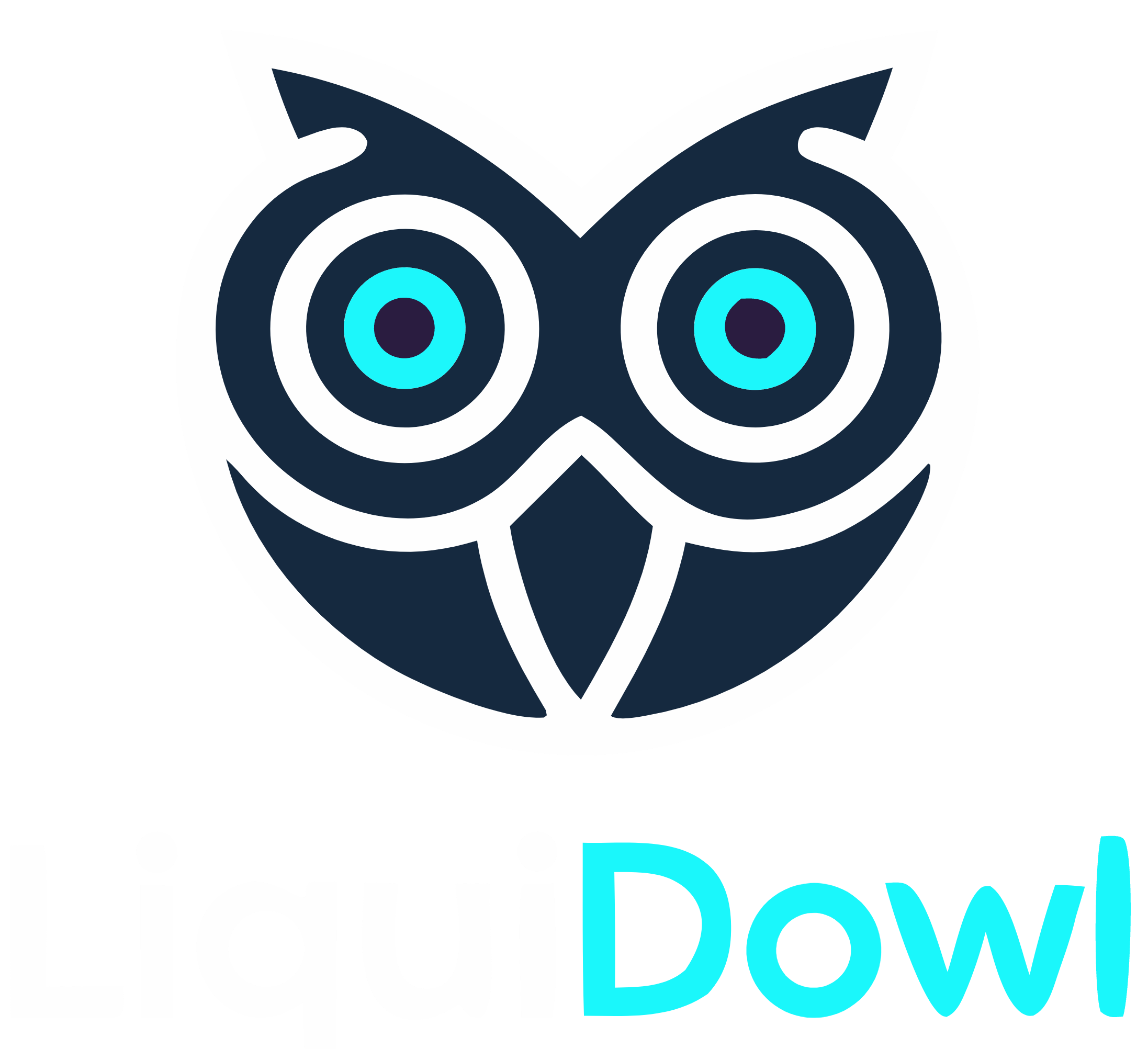 LiquidOwl Logo